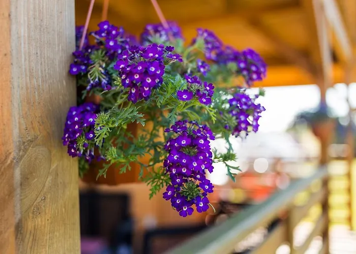 シャレー U Marleny ウストカ